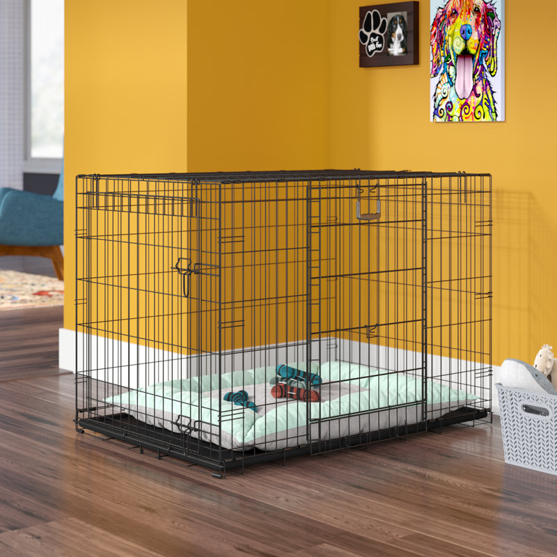 Archie & Oscar™ Ovation Trainer Double Door Pet Crate & Reviews Wayfair